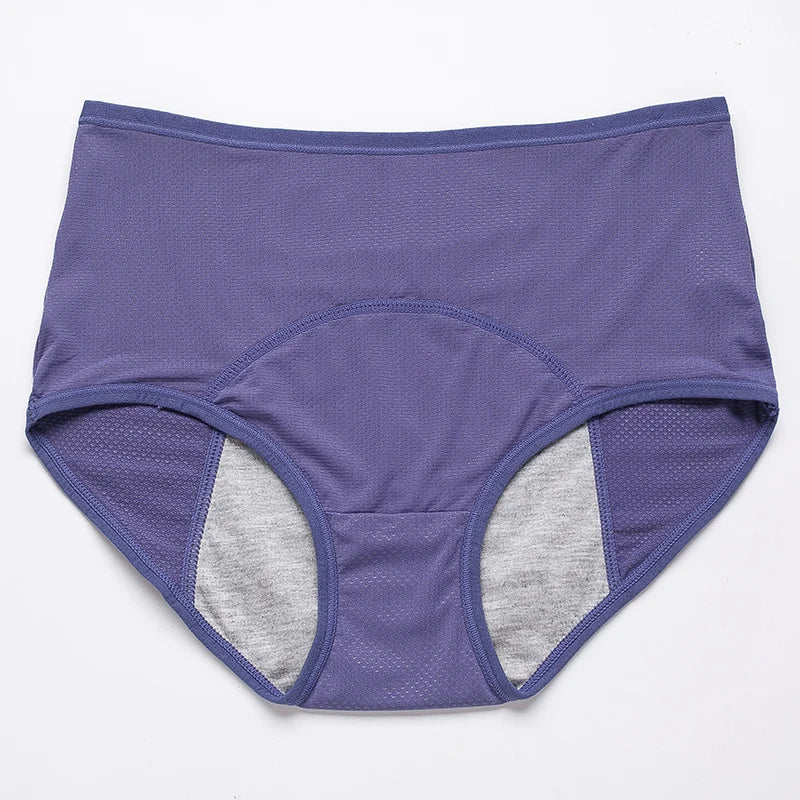 Menstrual Briefs Leak Proof Incontinence Environmetal Underwear Period Panties High Warm Female Women Sexy Pants - StripSilk