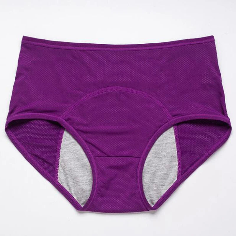 Menstrual Briefs Leak Proof Incontinence Environmetal Underwear Period Panties High Warm Female Women Sexy Pants - StripSilk
