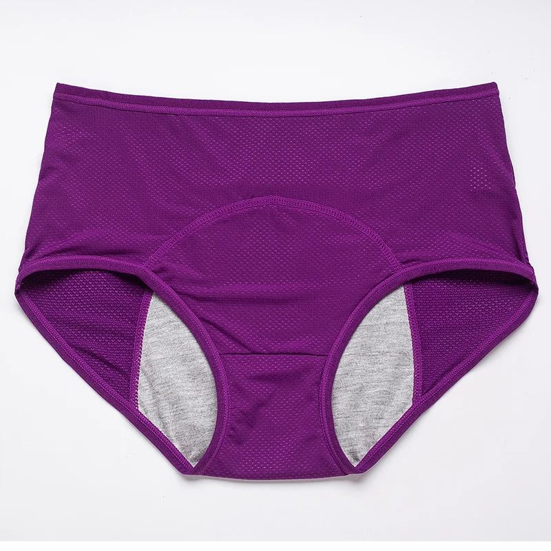 Menstrual Briefs Leak Proof Incontinence Environmetal Underwear Period Panties High Warm Female Women Sexy Pants - StripSilk